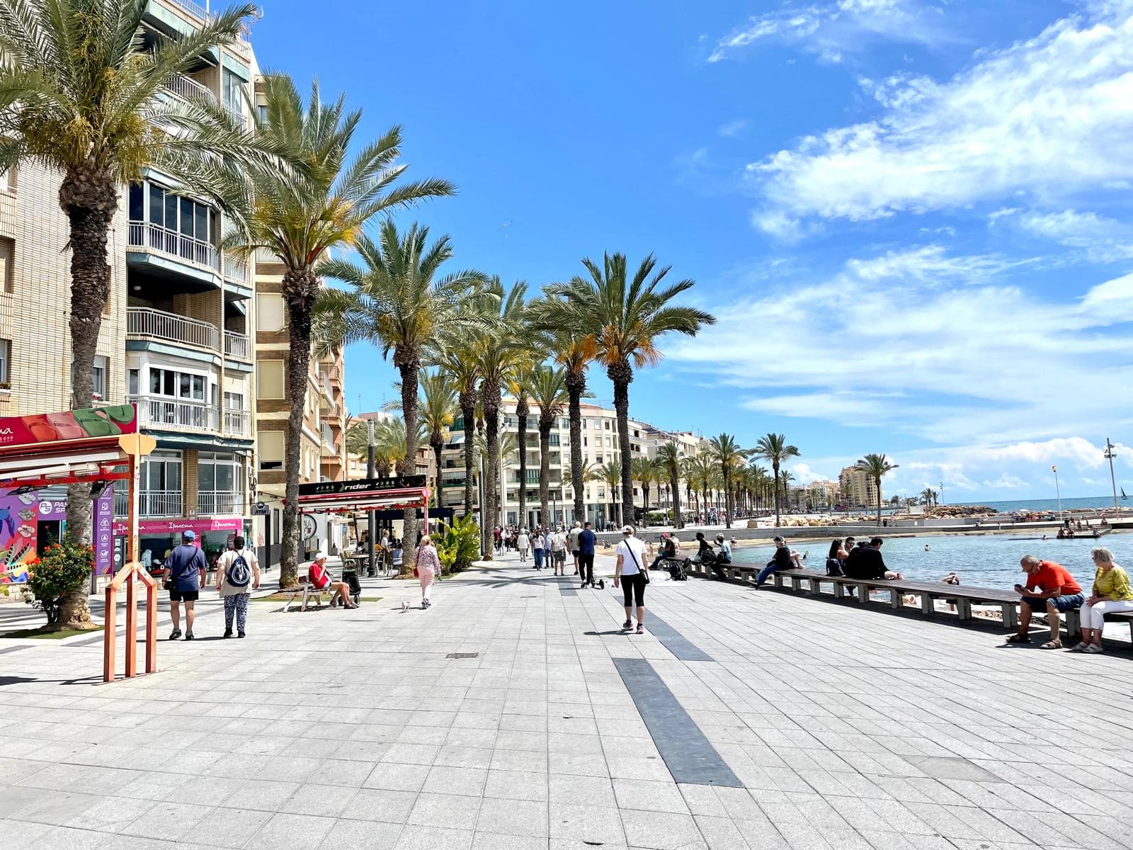 Strandpromenade mit Palmen an der Costa Blanca in Torrevieja